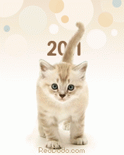 2011_cat176x220